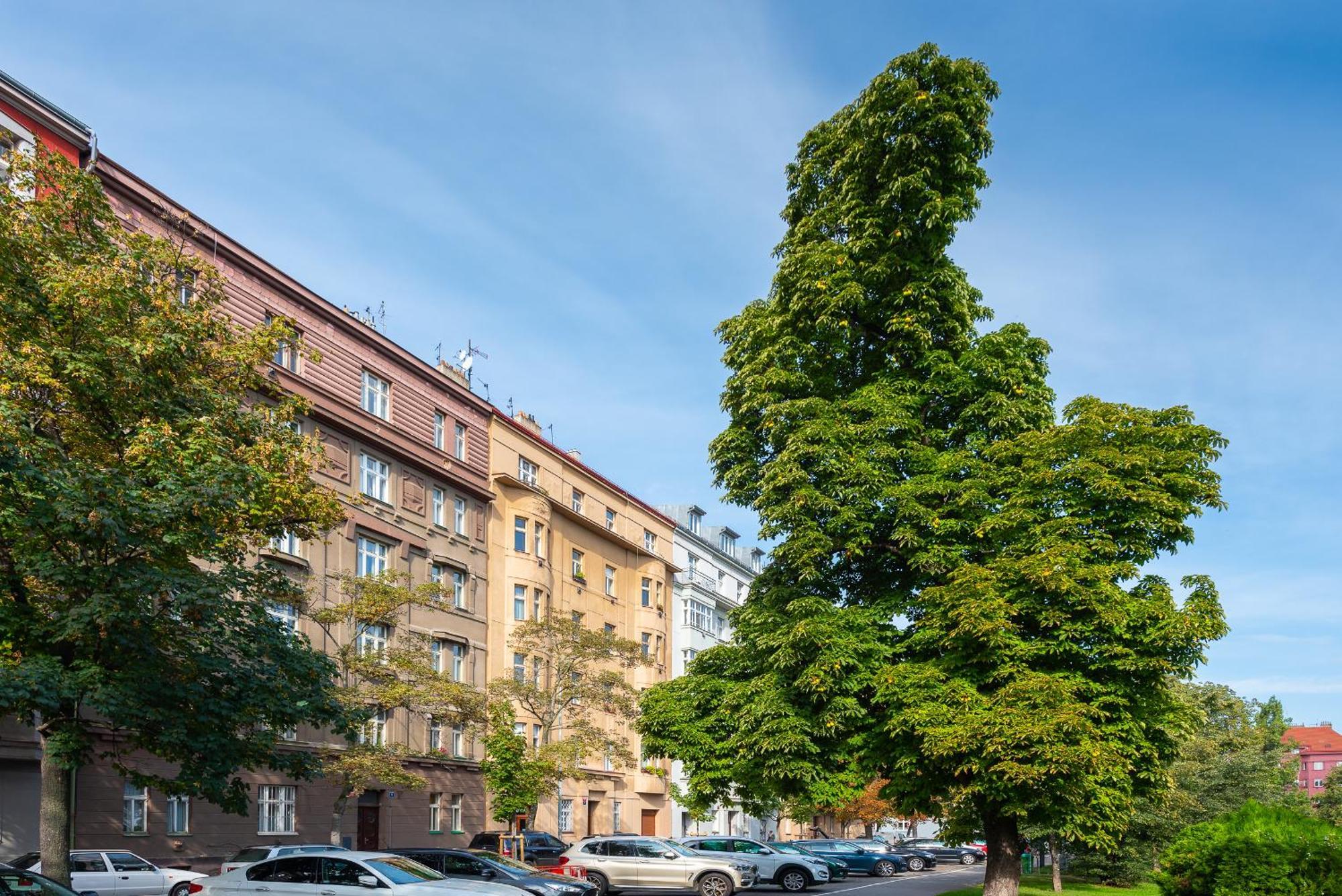 *sunny And Stylish* With Balcony Near Tv Tower Apartment *